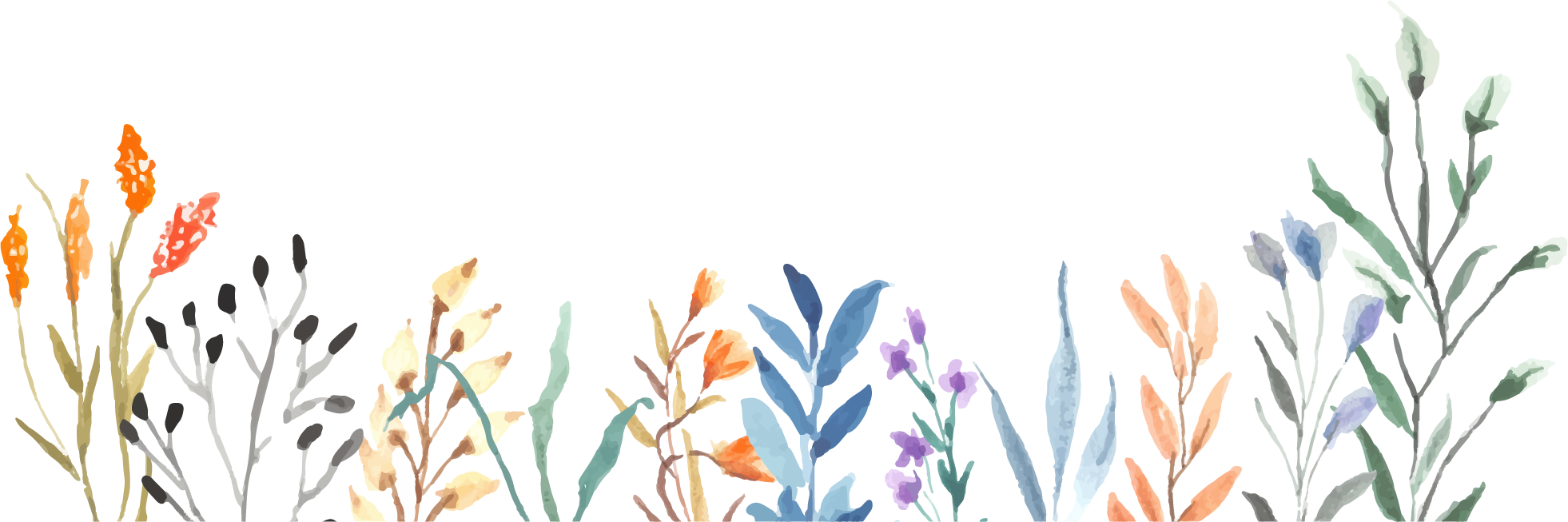 Watercolor Wildflowers Illustration