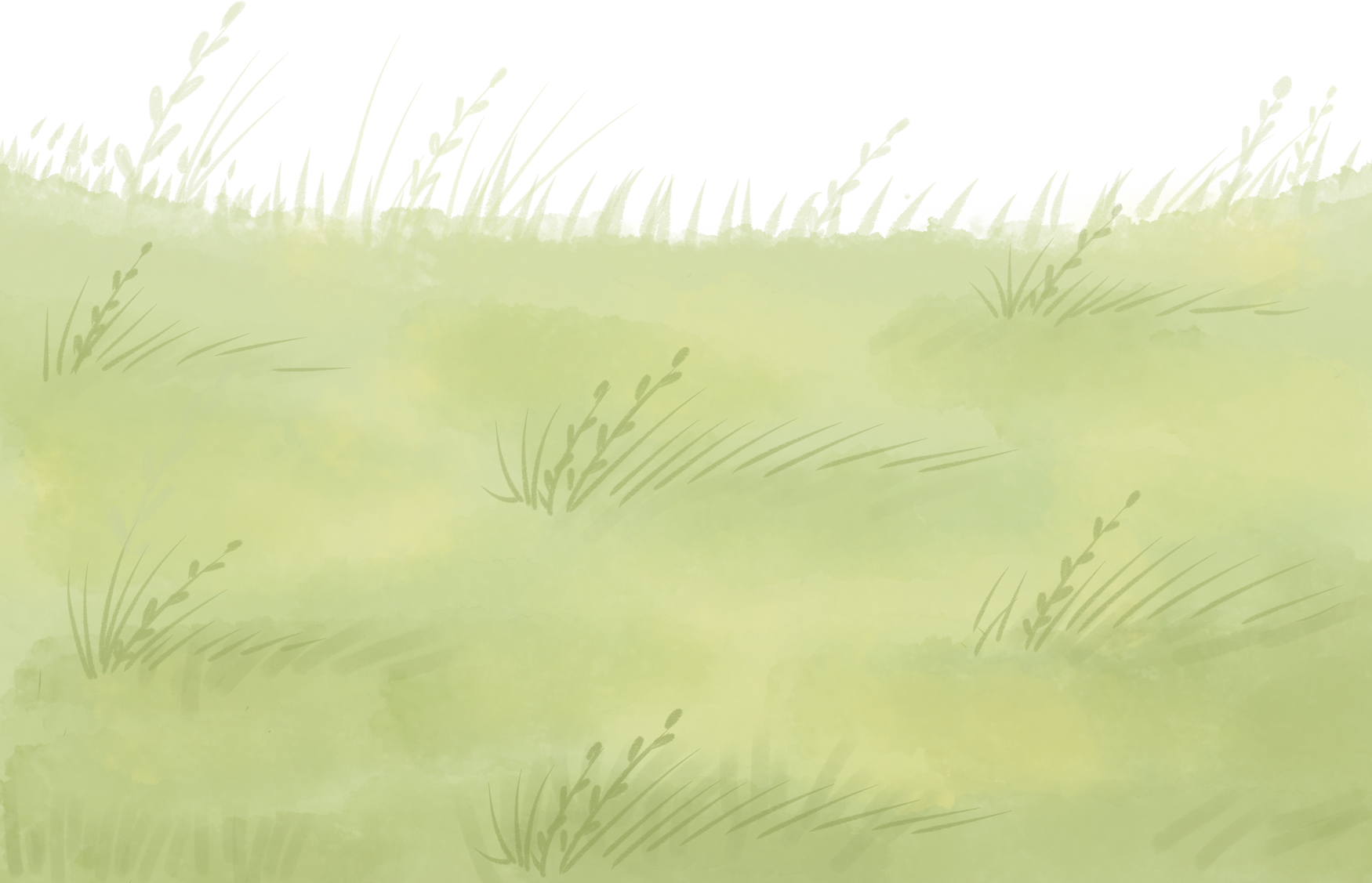 Grass illustration